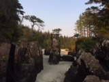 trees on top of sea stacks on beach in San Josef Bay